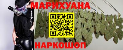 крисы Коммунар