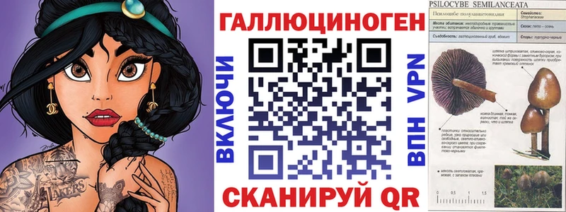 Псилоцибиновые грибы Psilocybine cubensis  Кузнецк 
