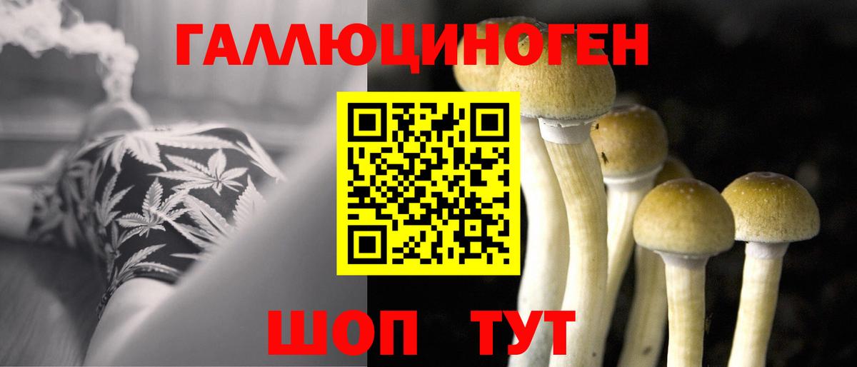 Псилоцибиновые грибы GOLDEN TEACHER  Вход с VPN  Кузнецк 
